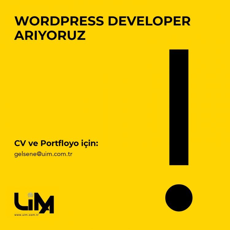 UIM Dijital İletişim Ajansı, WordPress Developer Arıyor!