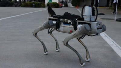 Milli Robot Köpek Proteo