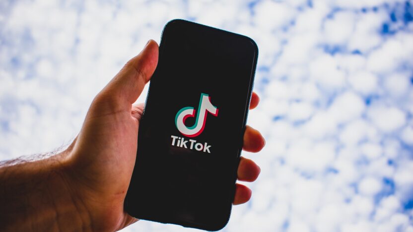 tiktok verileri