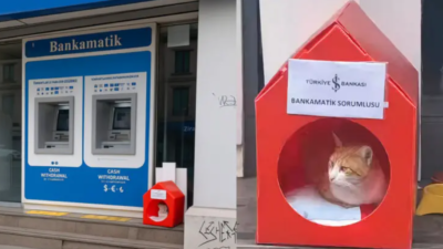 iş bankasından bankamatik sorumlusu dersi