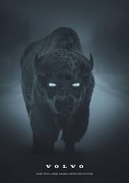 büyük hayvan algılama sistemi