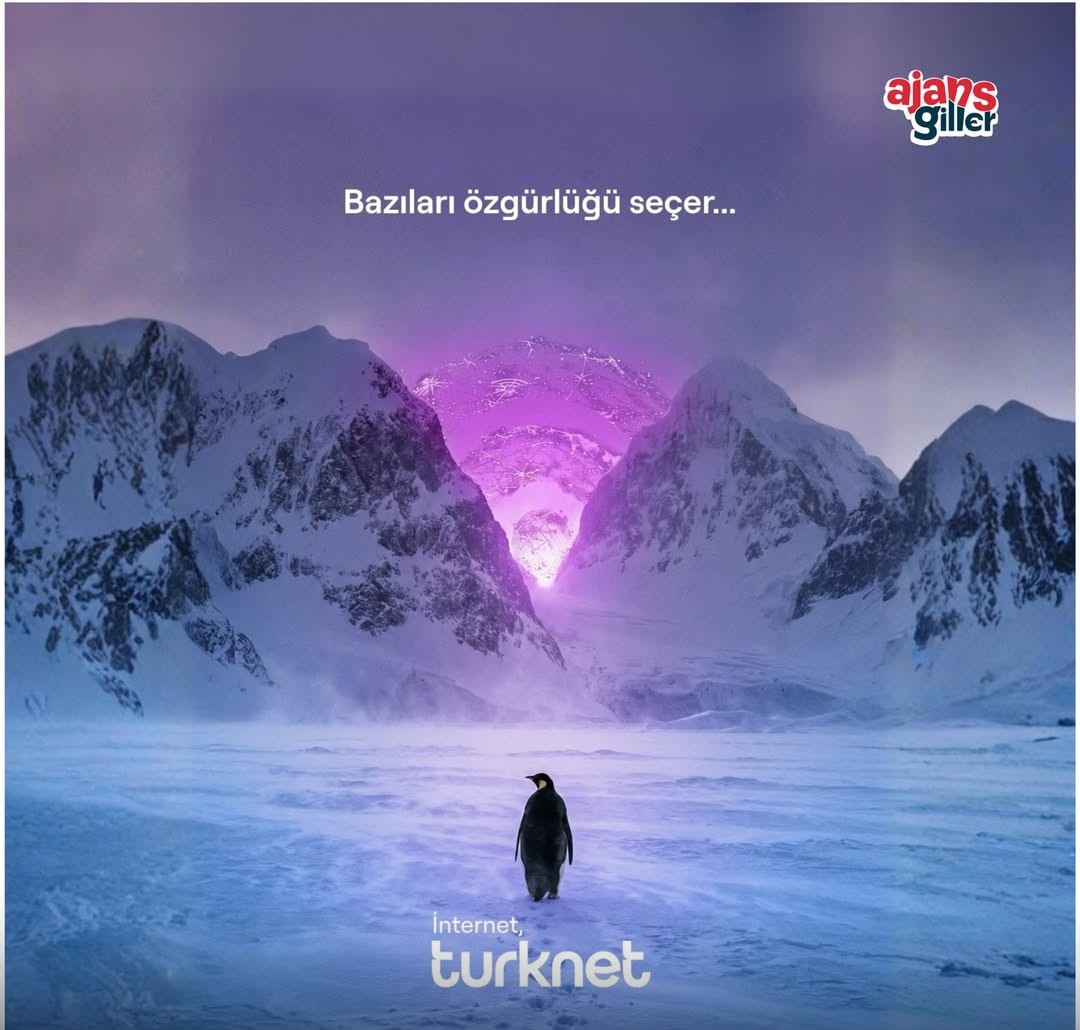 Türknet