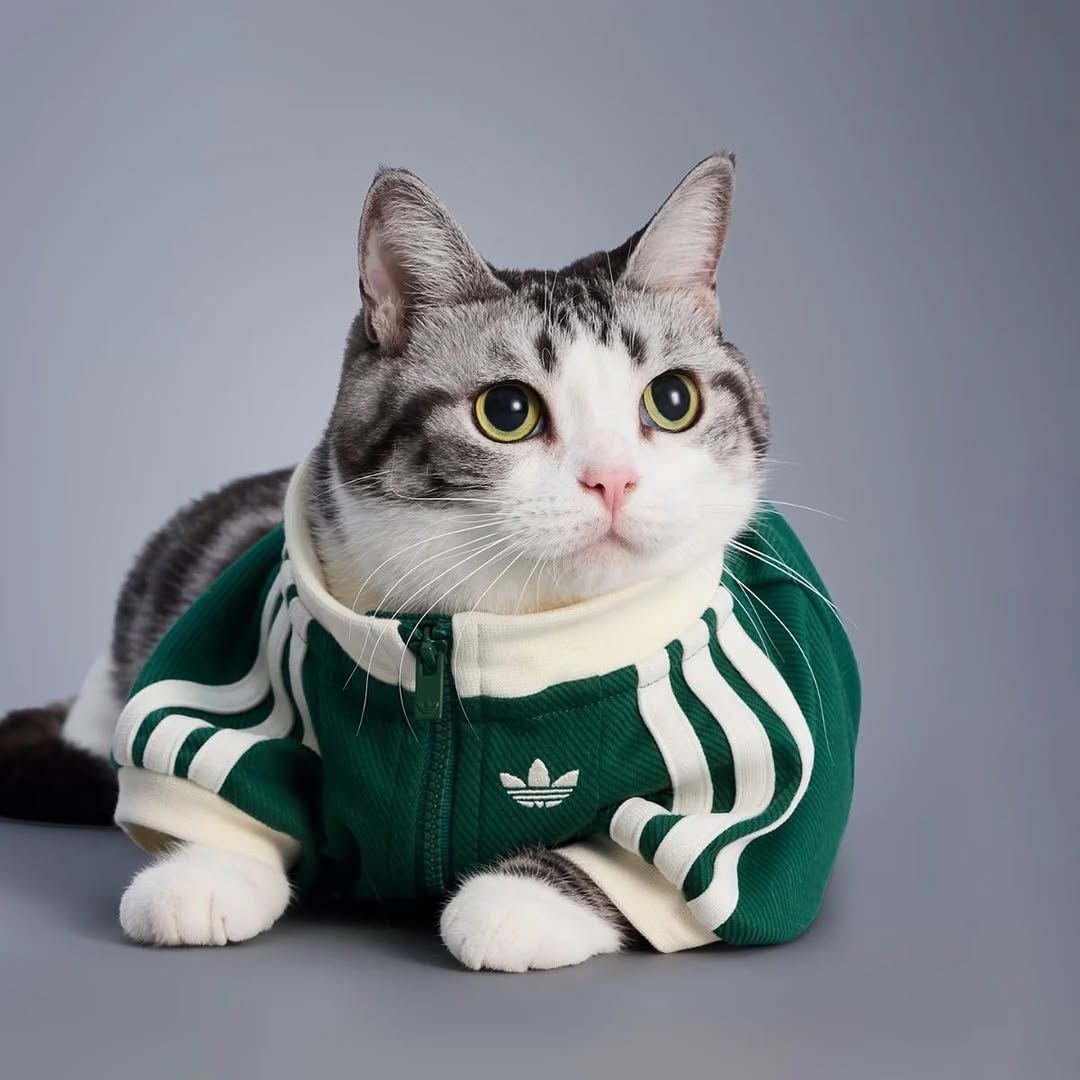 adidas