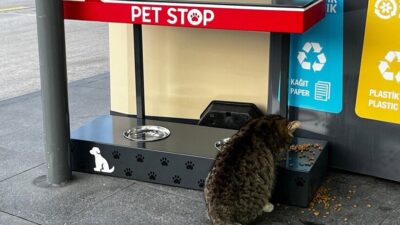 petstop