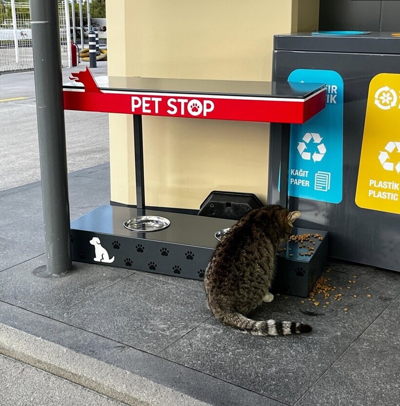petstop